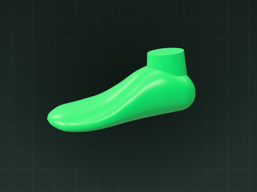 Finished shoe last around a foot scan