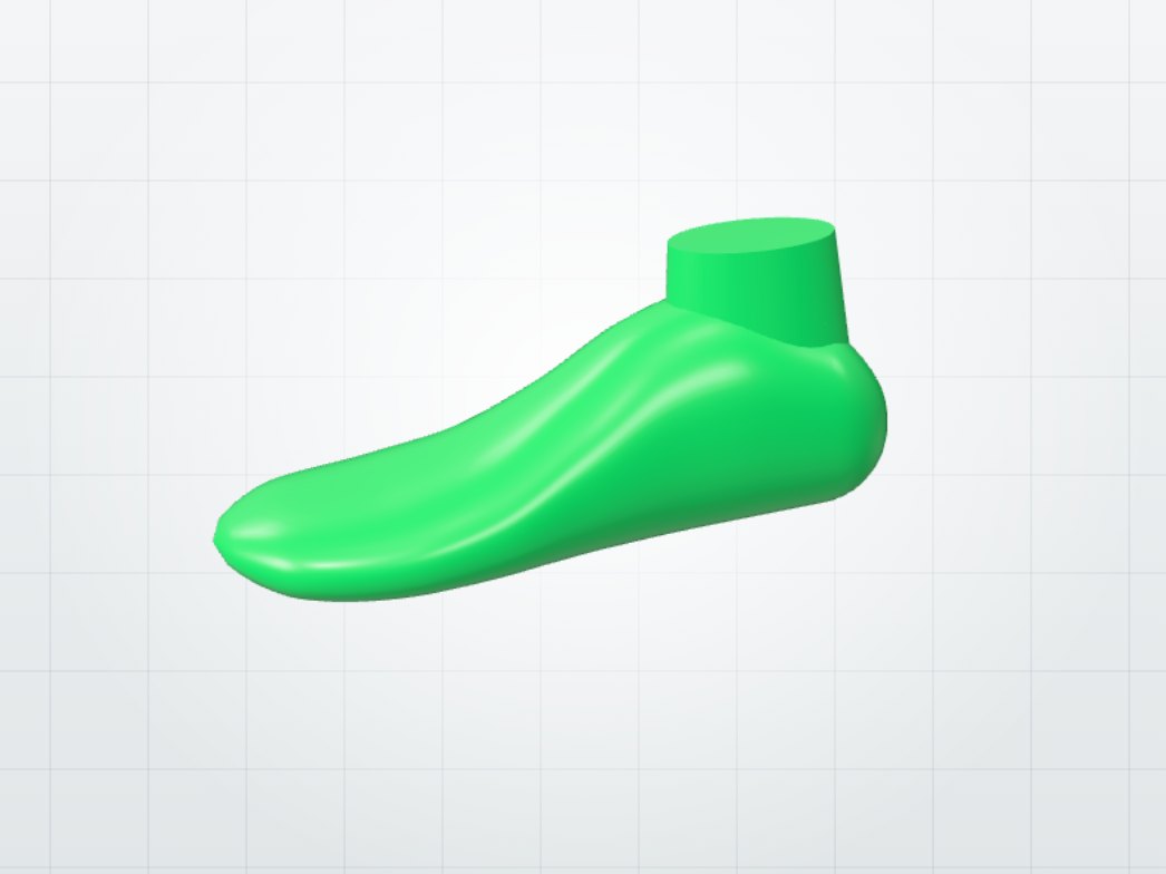 Finished shoe last around a foot scan
